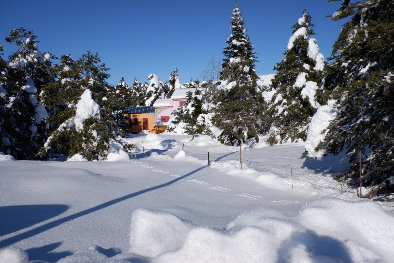 Friday January 8th 2021, Plateau de Caussols, South of France, House in a snowy Forest