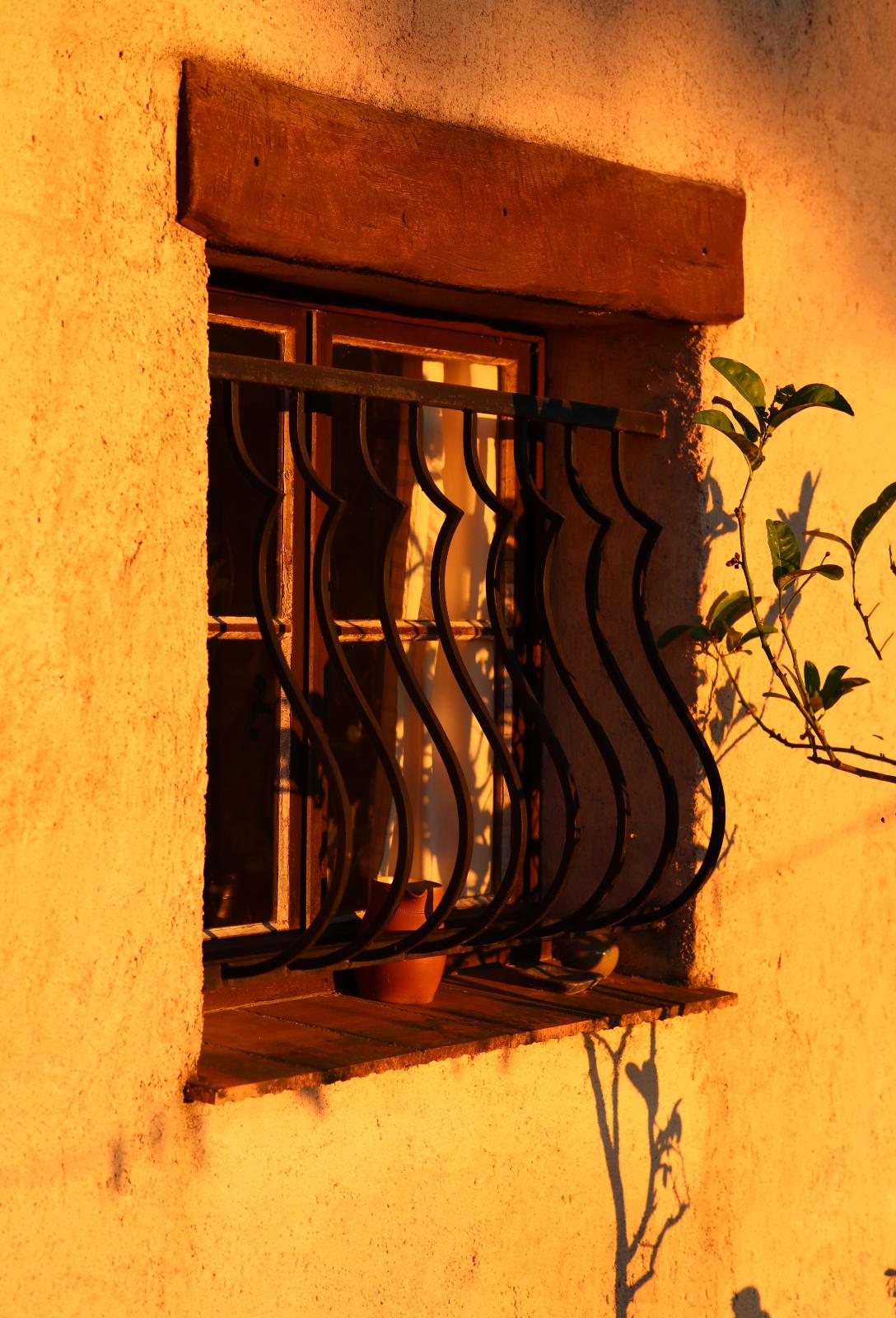 Thursday May 10th 2024, Window catching the early morning sun.